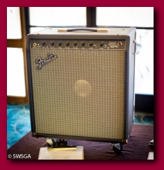 Silent auction amp